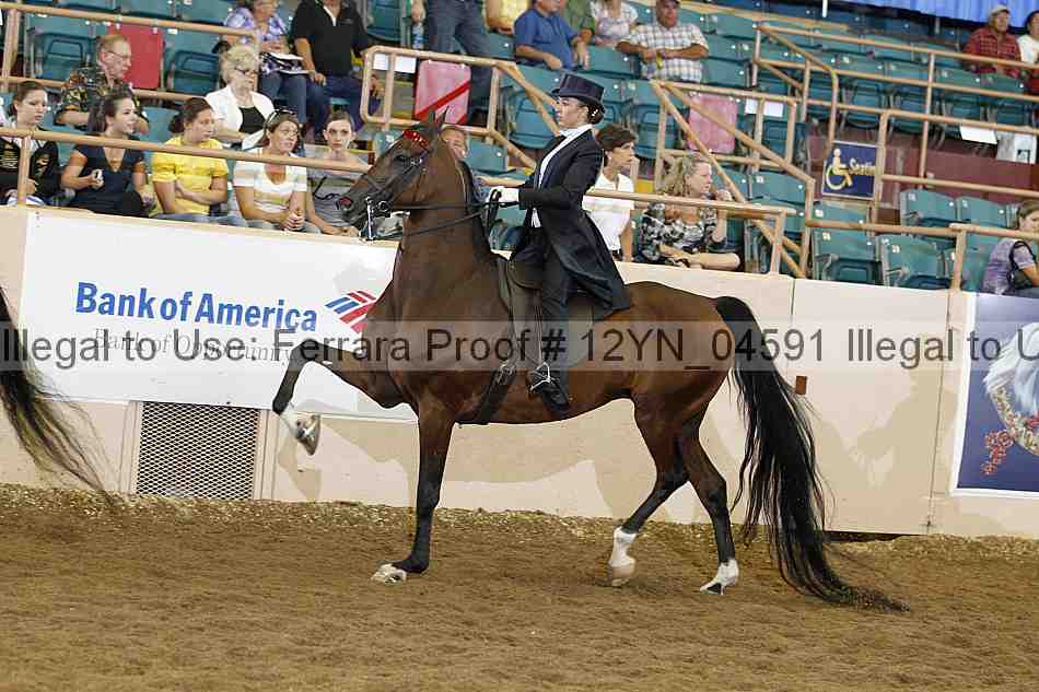 Proof 12yn_04591