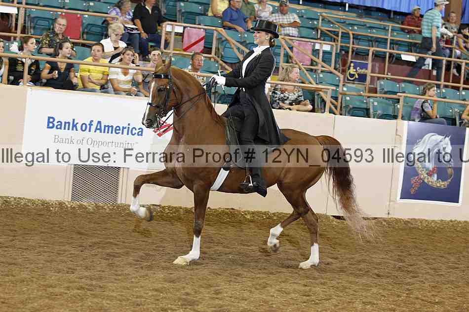 Proof 12yn_04593