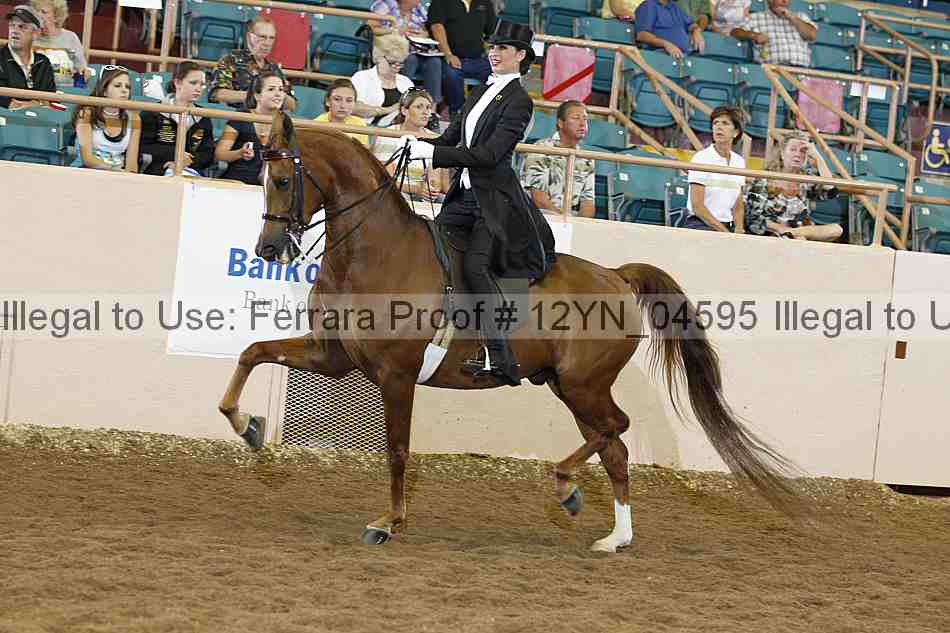 Proof 12yn_04595