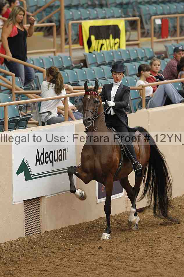 Proof 12yn_04596