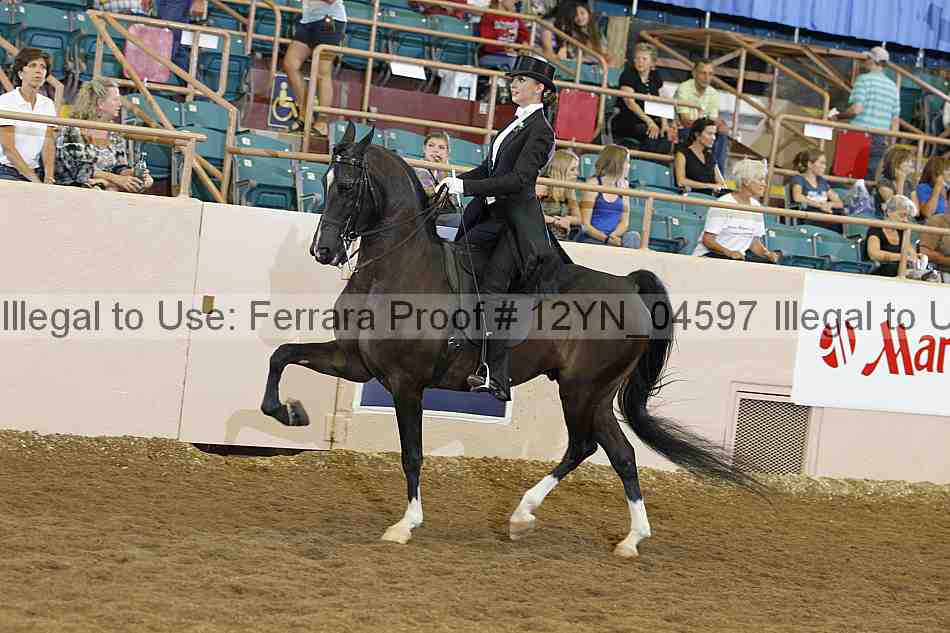 Proof 12yn_04597