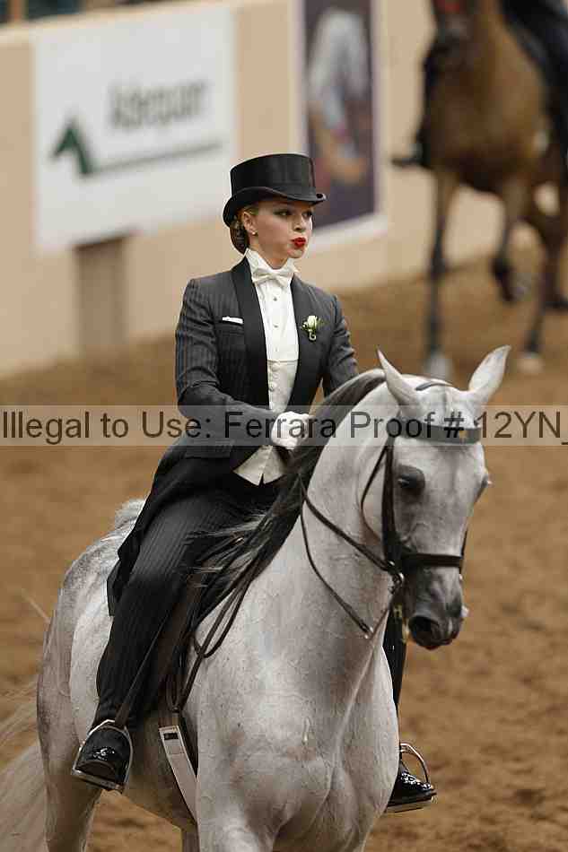 Proof 12yn_04598