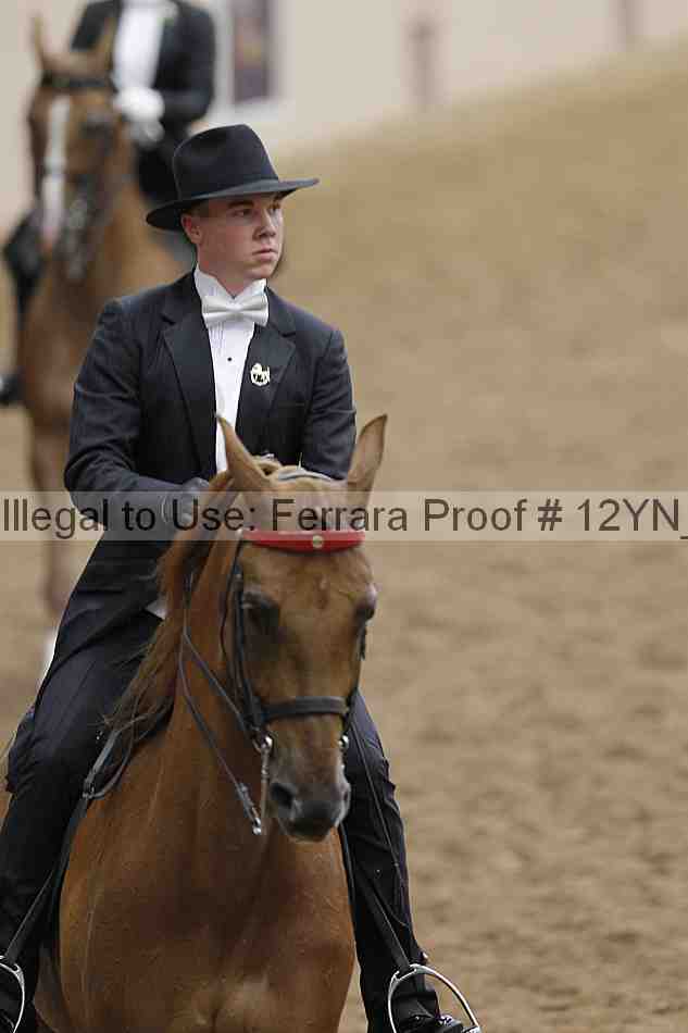 Proof 12yn_04601