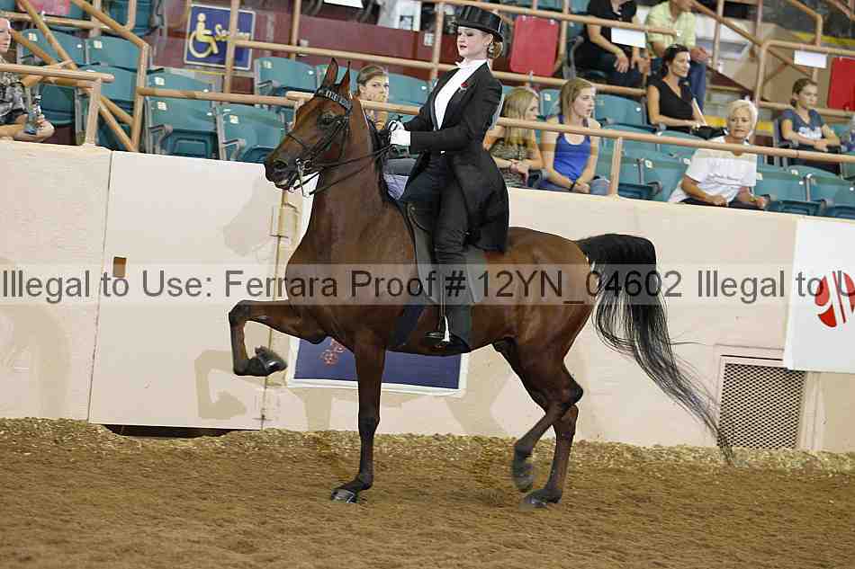 Proof 12yn_04602