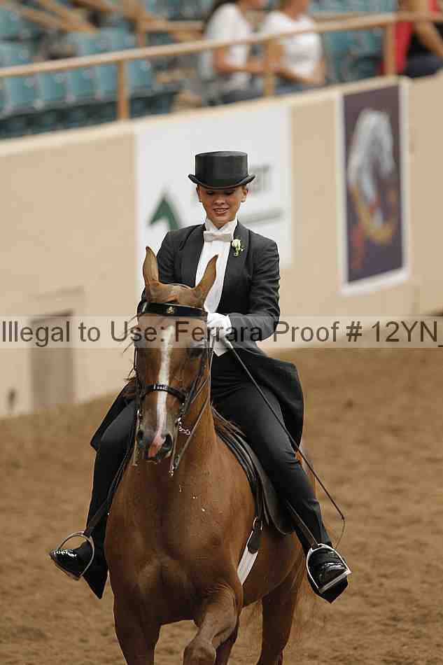 Proof 12yn_04603