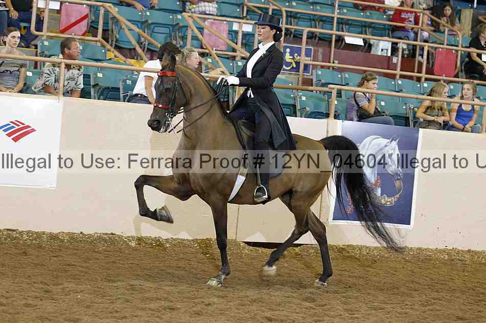 Proof 12yn_04604