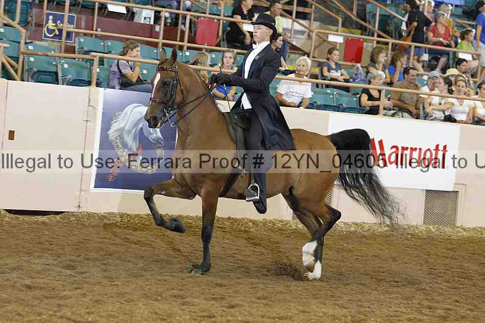 Proof 12yn_04605