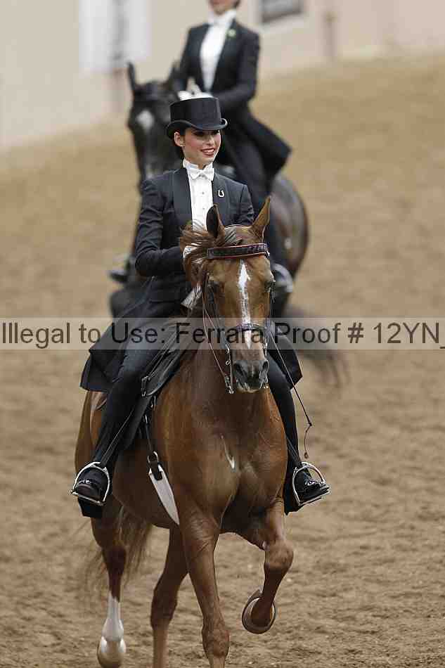 Proof 12yn_04607