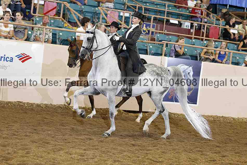 Proof 12yn_04608
