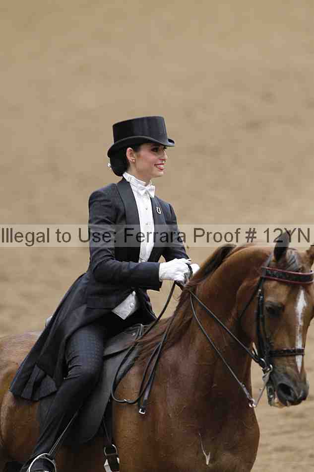 Proof 12yn_04609