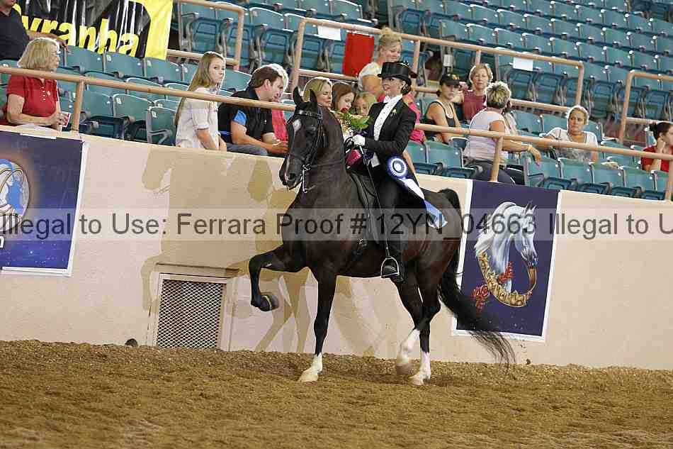 Proof 12yn_04663