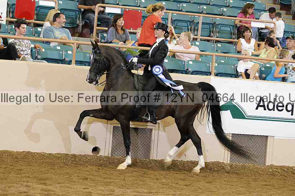 Proof 12yn_04664