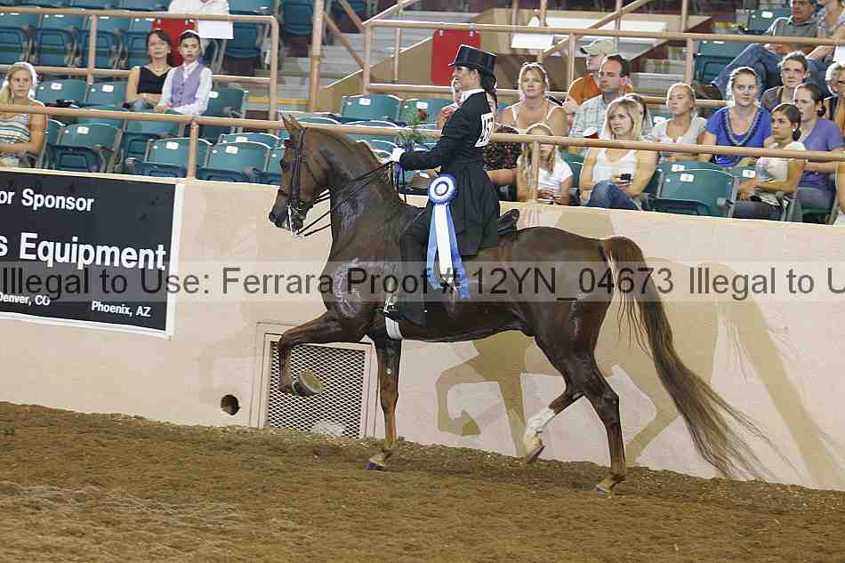 Proof 12yn_04673