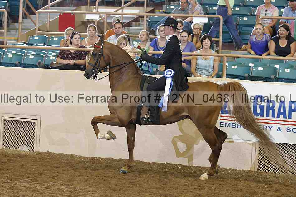 Proof 12yn_04681