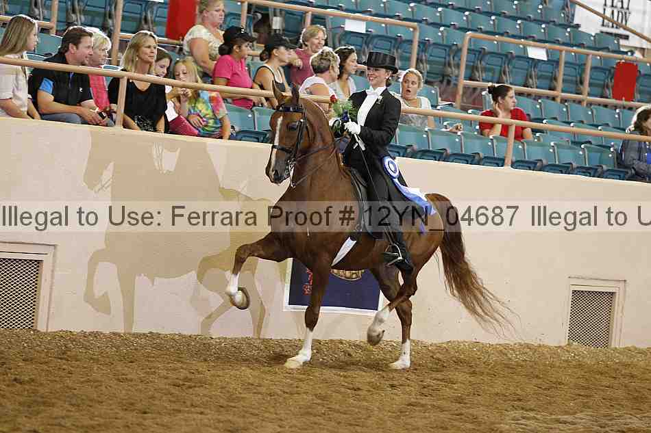 Proof 12yn_04687