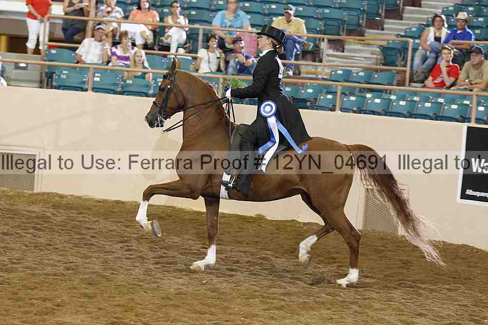 Proof 12yn_04691