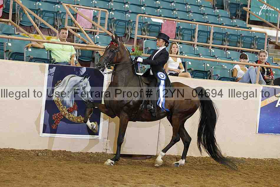 Proof 12yn_04694