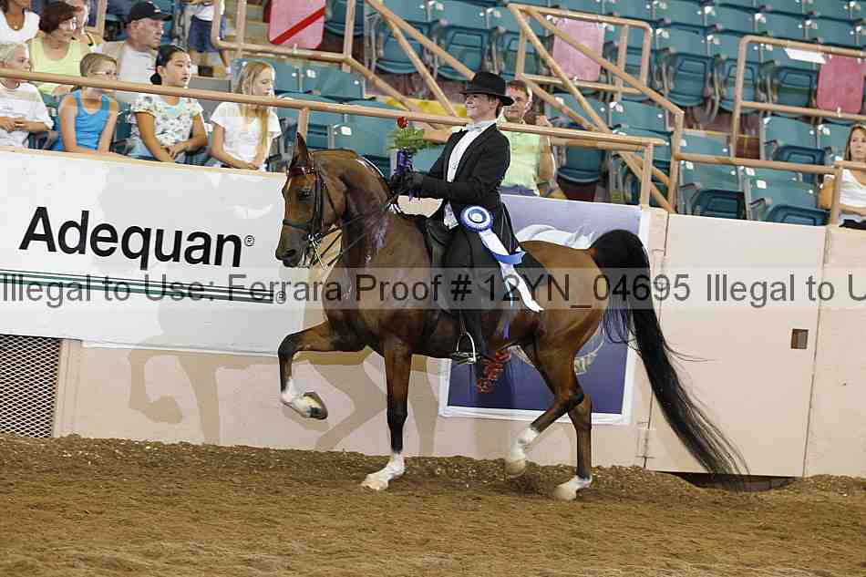Proof 12yn_04695