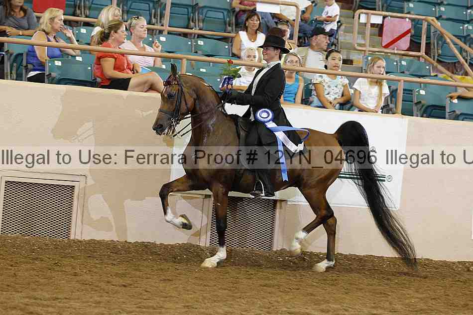 Proof 12yn_04696