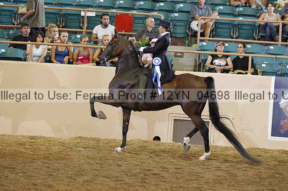 Proof 12yn_04698