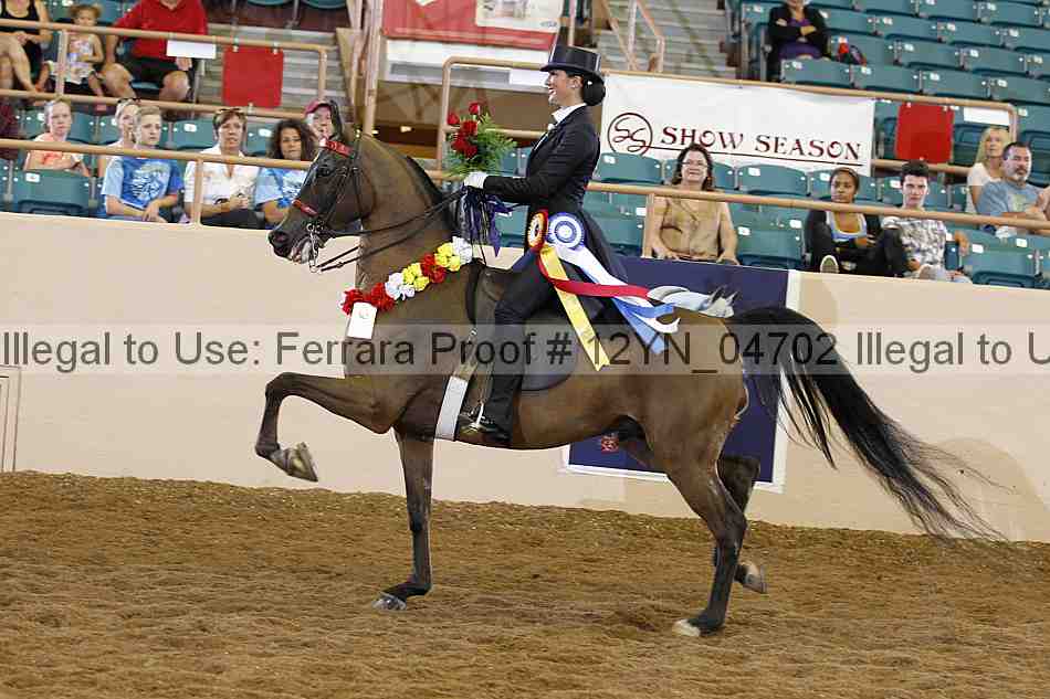 Proof 12yn_04702