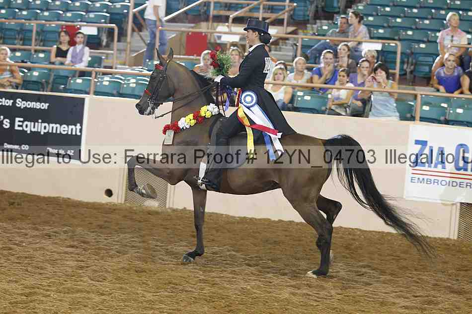 Proof 12yn_04703