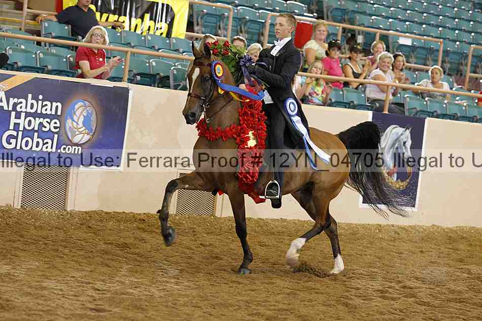 Proof 12yn_04705