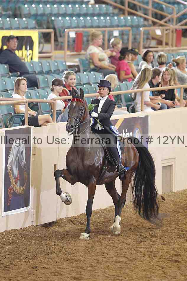 Proof 12yn_04706