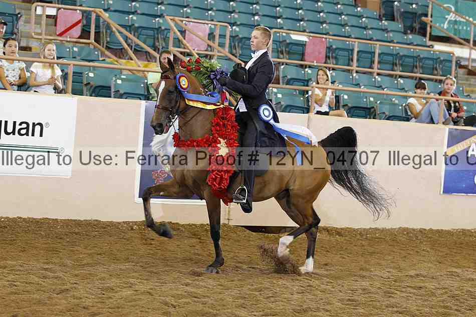 Proof 12yn_04707