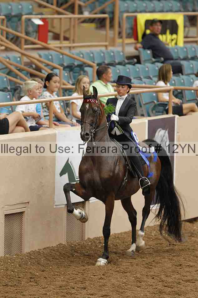 Proof 12yn_04708