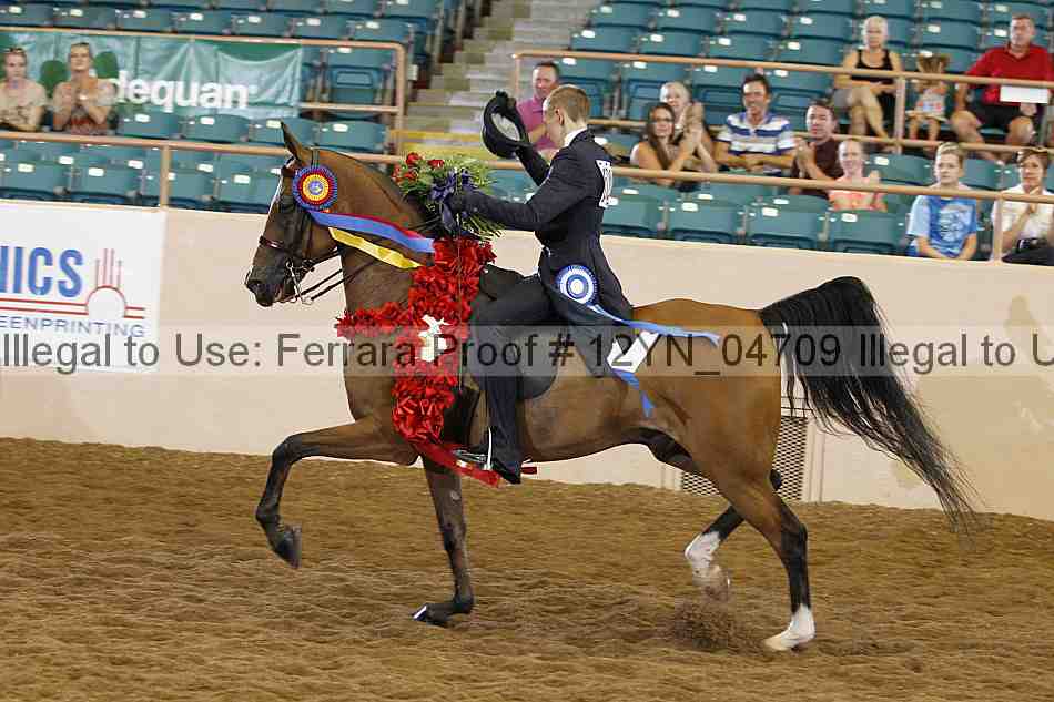 Proof 12yn_04709