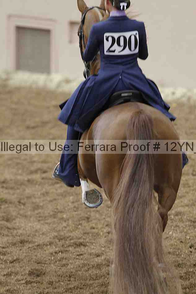 Proof 12yn_00883
