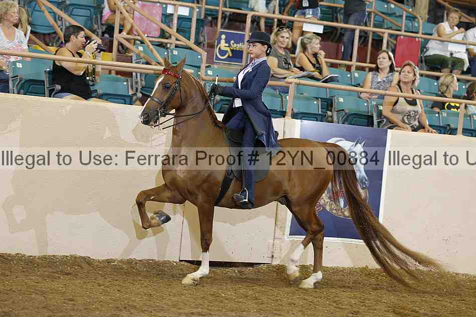 Proof 12yn_00884
