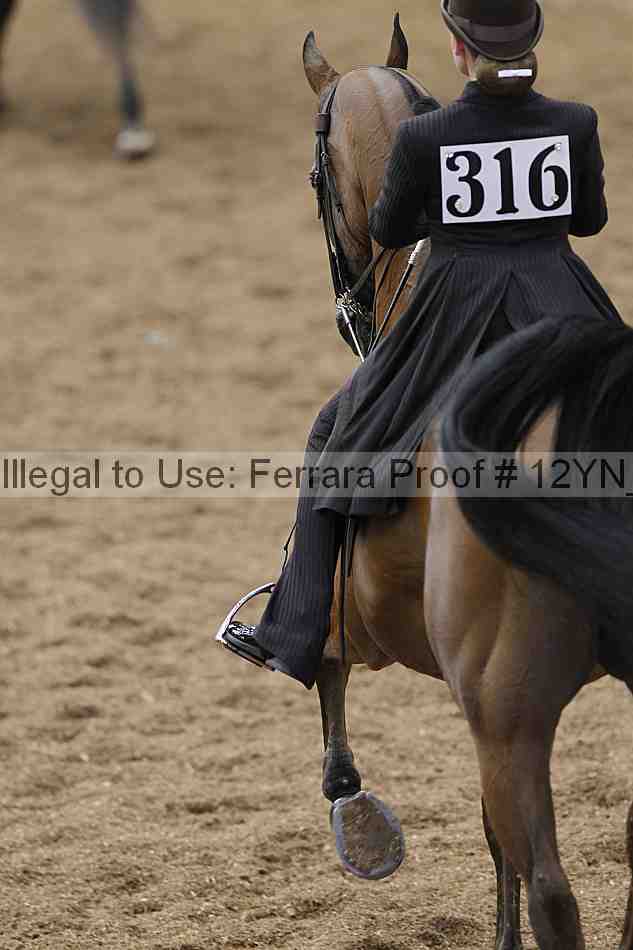 Proof 12yn_00885