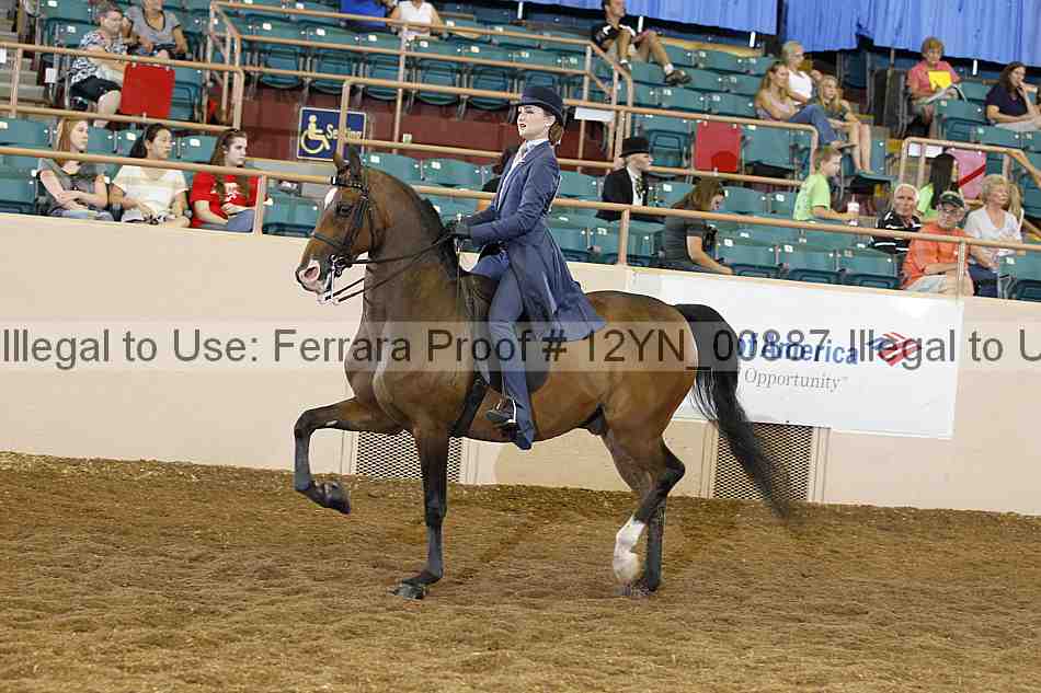 Proof 12yn_00887