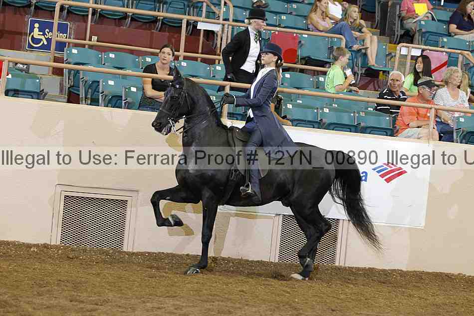 Proof 12yn_00890
