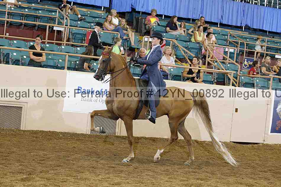 Proof 12yn_00892