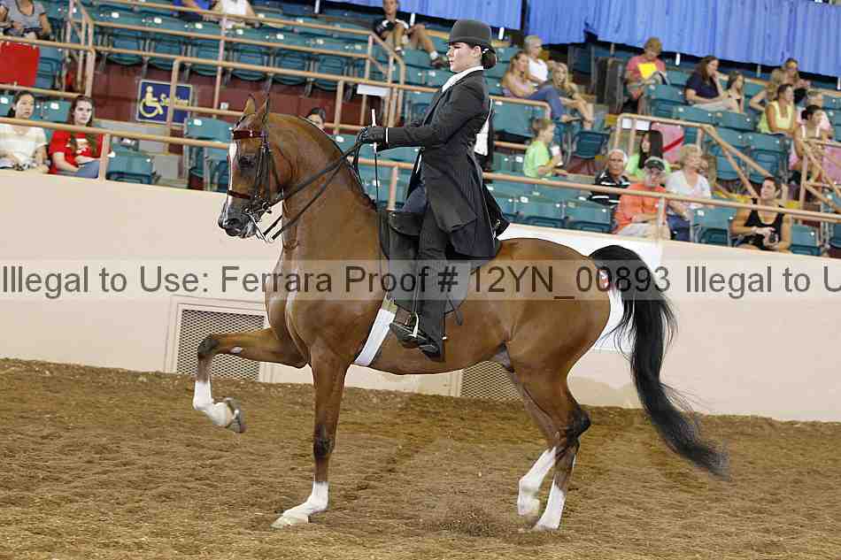 Proof 12yn_00893