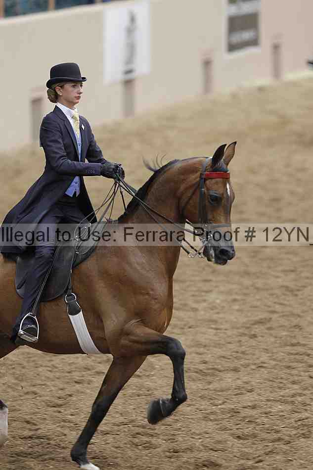 Proof 12yn_00894