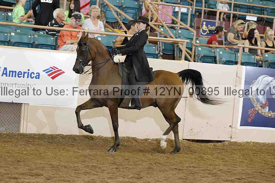 Proof 12yn_00895