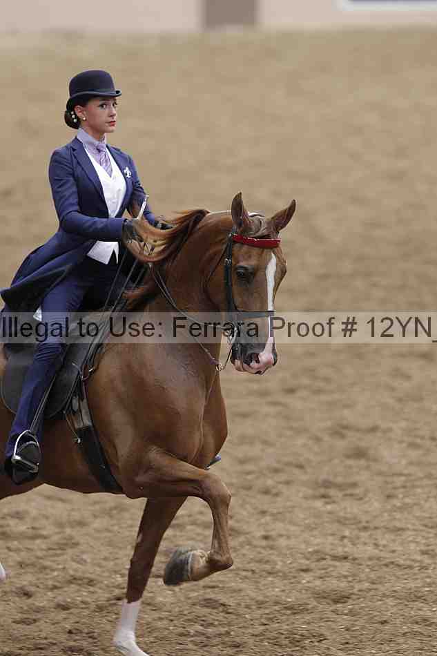 Proof 12yn_00897