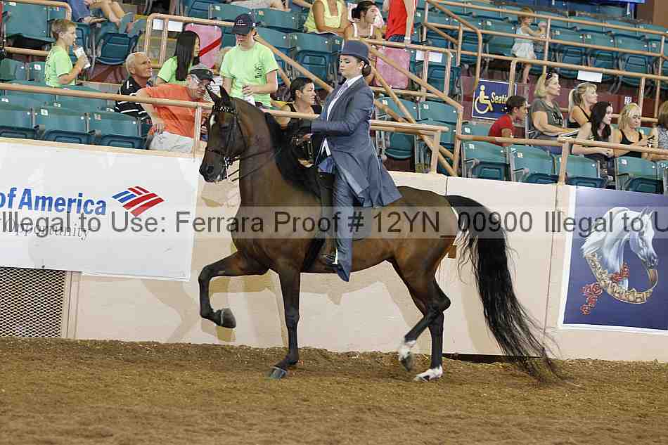 Proof 12yn_00900