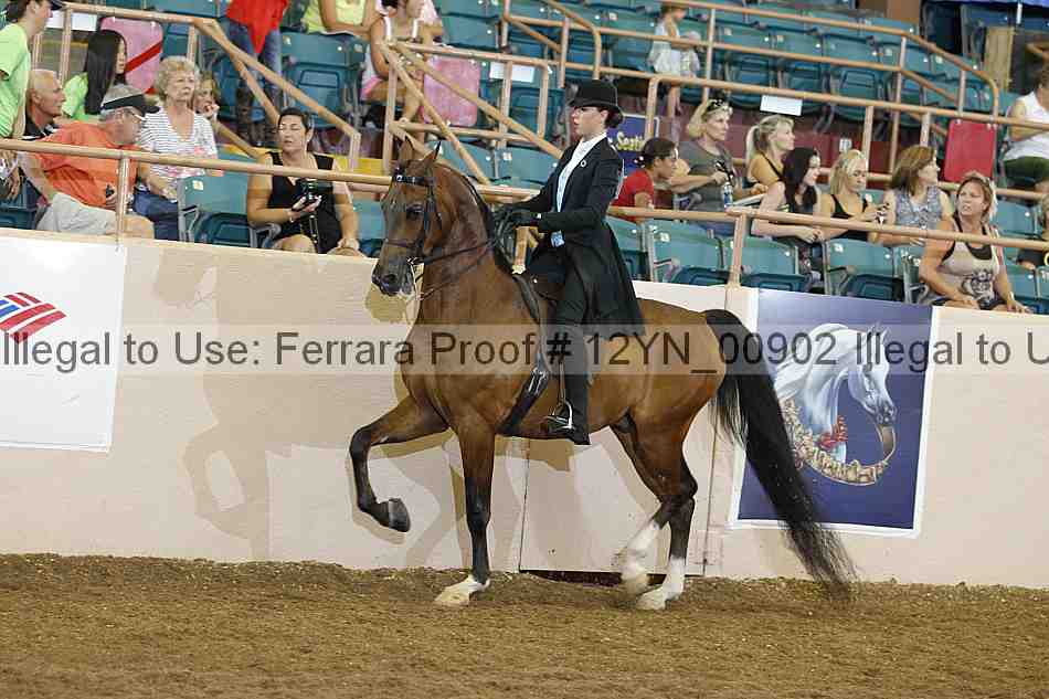 Proof 12yn_00902