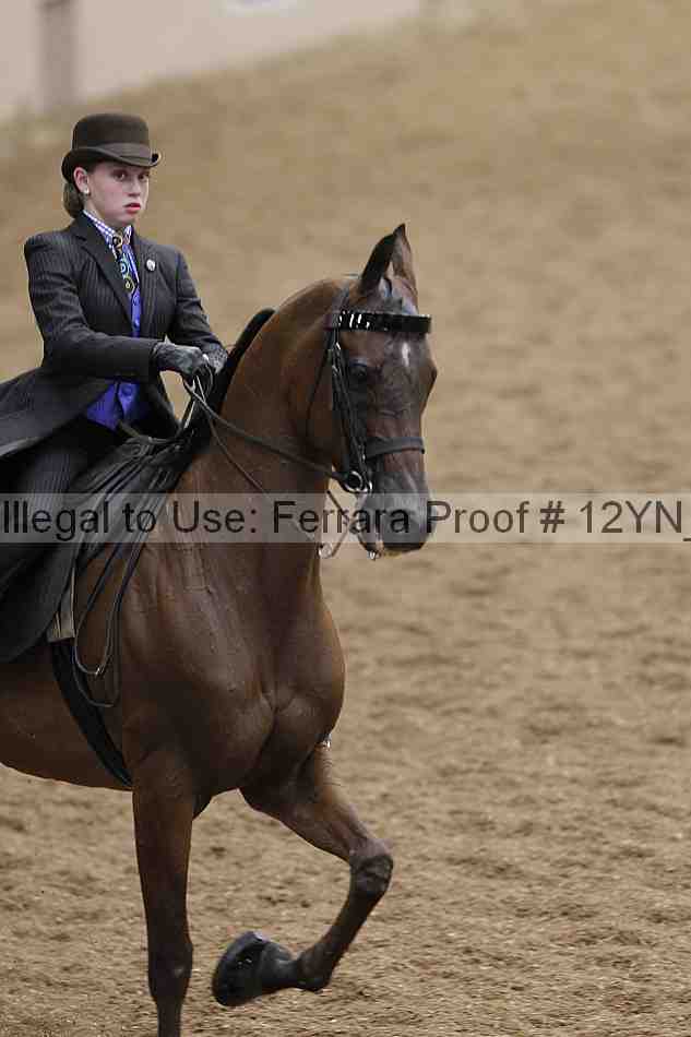 Proof 12yn_00904