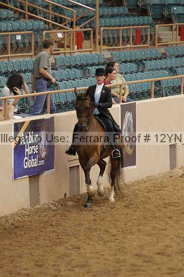 Proof 12yn_00905