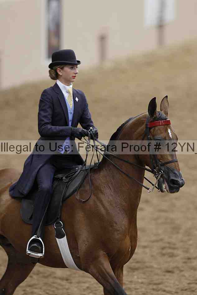 Proof 12yn_00906