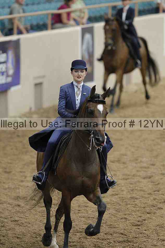 Proof 12yn_00908