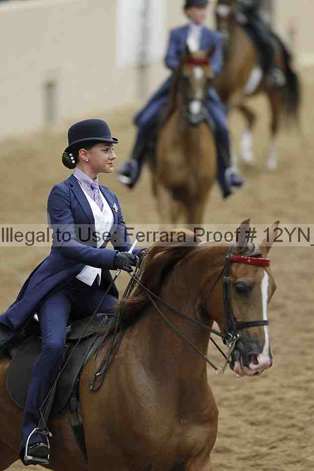 Proof 12yn_00909