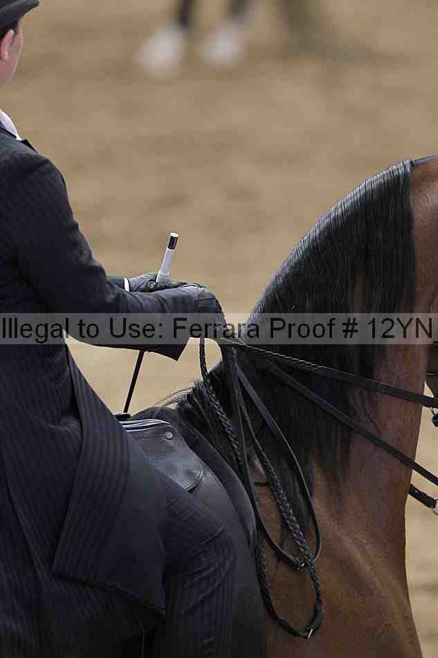 Proof 12yn_00910