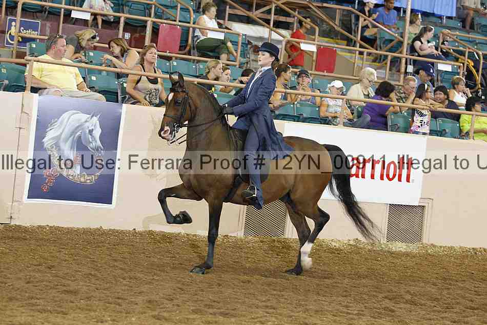 Proof 12yn_00911
